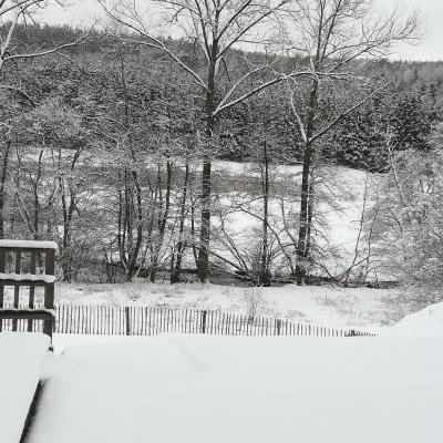 Jardin Hiver