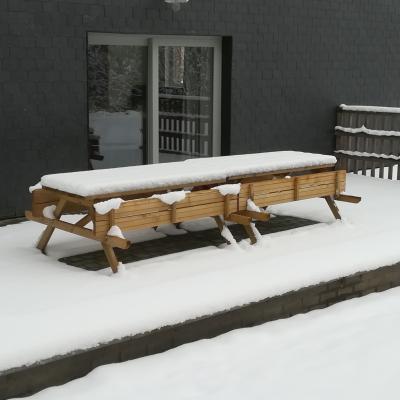 Terrasse sous la neige, onder de sneeuw, in the snow